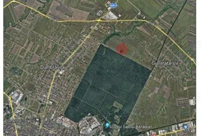 Casă cu 1 camere cu Teren 530 Mp în Dumbrăvița - 7