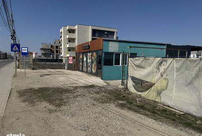 Teren de 10000 mp, în Tunari - 2