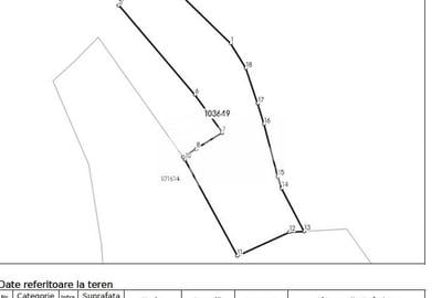 Teren constructii casa/cabana 2000 mp Valea Hrtibaciului Nucet - 2