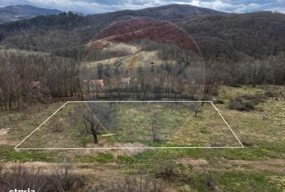 Teren de 12458 mp, în Meteș - 2