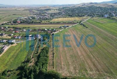 Teren de vanzare, Com. Sarata, Jud. Bacau - 4