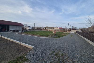 Spațiu comercial, în Corbu - 4