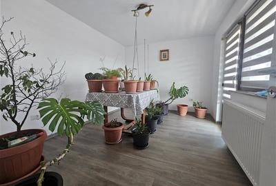 Vila + casa, Magura, Lux - 13