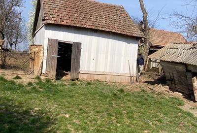 Casă cu 3 camere în Săuca - 4