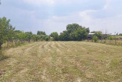 Casă cu 4 camere în Gologanu - 2