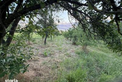 Casă cu 3 camere nedecomandat cu Teren 95 Mp în Lunca - 8