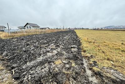 Teren Construcții extravilan de 2320 mp, în Horodnic de Sus - 3