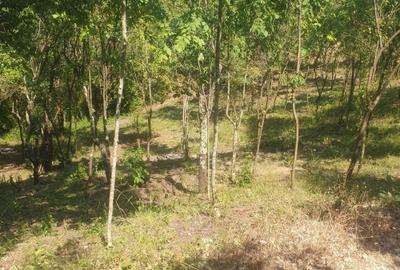 Spațiu comercial, în Valea Unghiului - 1