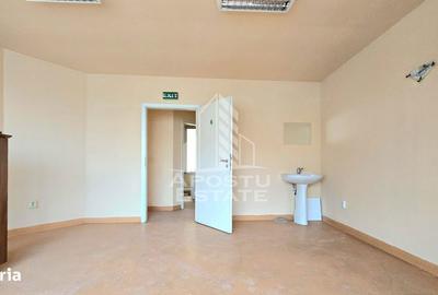 Spațiu comercial, de 250 mp, în Iosefin - 8