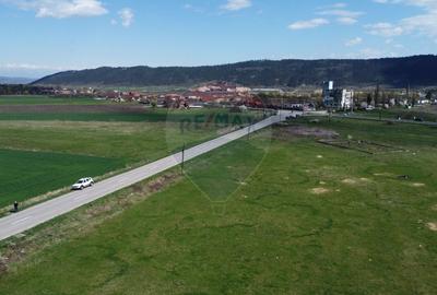 Teren Construcții extravilan de 8600 mp, în Luna de Jos - 2