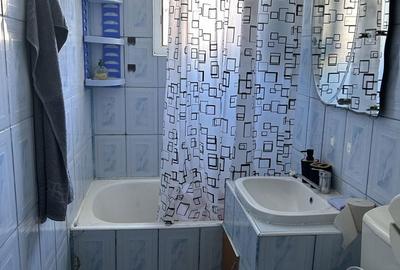 Apartament cu 2 camere semidecomandat în Crâng - 10