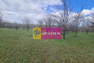Teren de vanzare in Brebu - Zona Brebu Megiesesc - 11