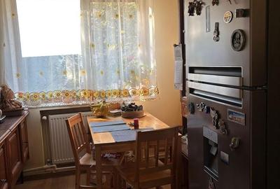 Casă cu 4 camere în Paltin - 8