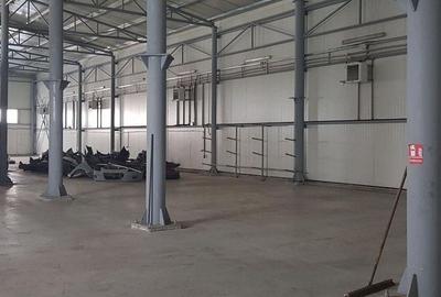 Pantelimon DN3 hala 870 mp - 17