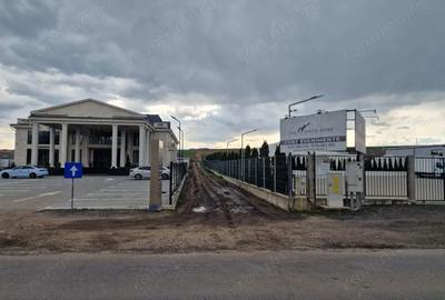 Teren de 10000 mp, în Vest - 16