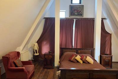 Pensiune agroturistica de vanzare in localitatea Horodnic de Sus jud.Suceava - 9