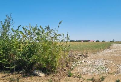 Teren intravilan Balotesti, Complex Good Afternoong - 2