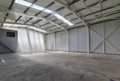 Hala noua | Magurele - DNCB | 600mp - 3