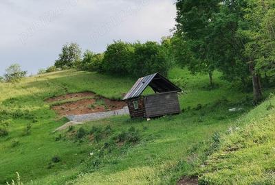 Teren în Pietroasa - 1
