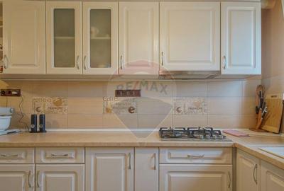 Casă cu 7 camere cu Teren 1093 Mp în Cărpiniș - 9