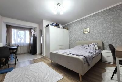 Garsoniera impecabila Boiler Park lake 3 min M Dristor DB1574 - 1