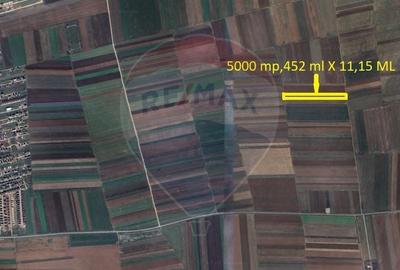Teren agricol extravilan de 5000 mp, în Tărlungeni - 2