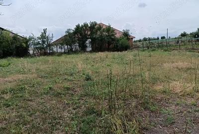 Casă cu 2 camere cu Teren 2100 Mp în Roșia de Secaș - 9