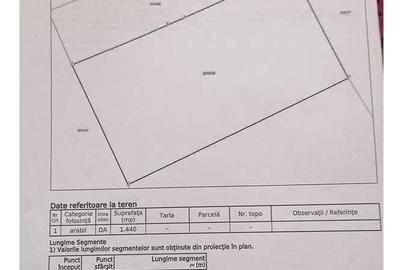 Spațiu comercial, în Mișca - 1