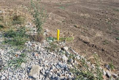 Parcele disponibile in Frumusani! Locatie excelenta! - 11