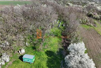 Spațiu comercial, în Scurtești - 3