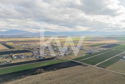 Teren intravilan in Harman, 500mp, str. Plevnei, Comision 0% - 14