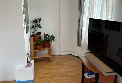 Casa independenta Craiter, 5 camere, D+P+E-M+pod - 6