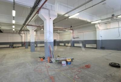 Hala industriala 3600 mp SECTOR 3 Oxigenului - 2