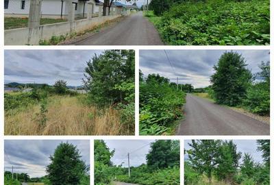 Teren de 960 mp, în Tăuții-Măgherăuș