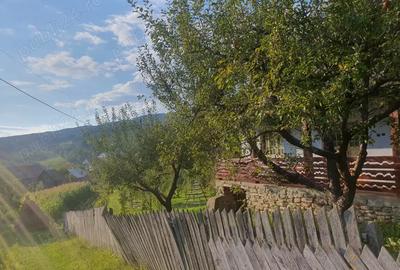 Casa 64 mp util, 2 camere + hol mare refacut, 4.100 mp intravilan - 9