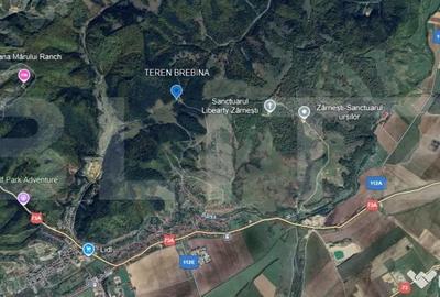 Teren de 1861 mp, în Brebina - 1