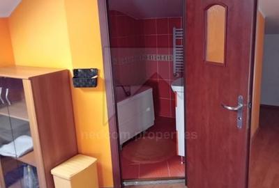 Vanzare Vila S+P+1+M - Viilor Parcul Carol - 17