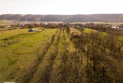 Spațiu comercial, în Betfia - 1