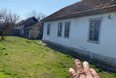 Casă cu 3 camere cu Teren 1387 Mp în Bistreț - 1