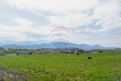 Teren Construcții intravilan de 13300 mp, în Bartolomeu - 3