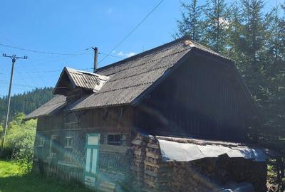 Casa de vacanta ( 7 camere)si casa batraneasca in inima Bucovinei - 11