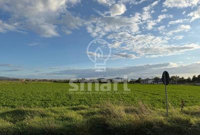 Teren Bistrita Valea Jelnei 19 eur mp - 6