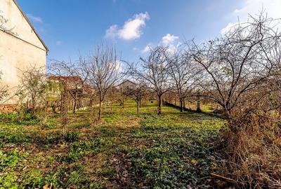 Locuință spațioasă cu grădină mare în Aradul Nou, calea Timișorii - 9