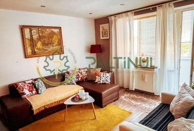 Apartament 2 camere decomandat cu balcon, renovat complet, Terezian - 2