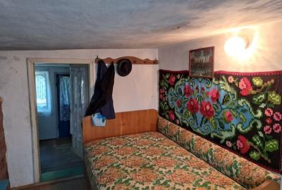 Casă cu 4 camere în Răchitoasa - 3