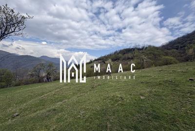 Teren agricol extravilan de 7750 mp, în Câinenii Mici - 2