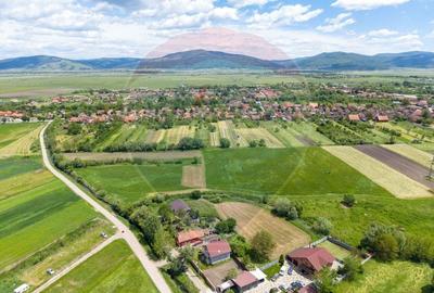 Teren agricol extravilan de 25100 mp, în Prejmer - 11