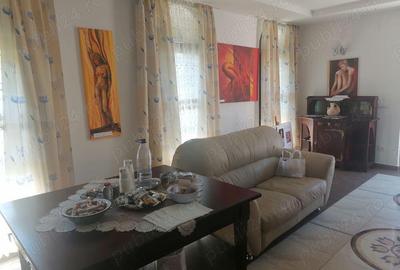 Casa si Teren Tara Lovistei Greblesti - 3