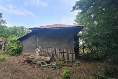 Casa, Dor Marunt, Calarasi - 1