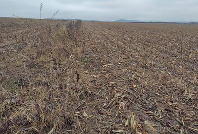 Teren de 1000 mp, în Vest